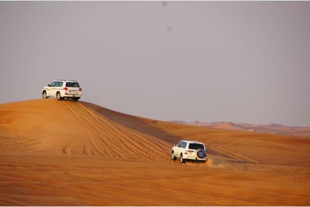 Morning Desert Safari 14 Morning Desert Safari in Dubai