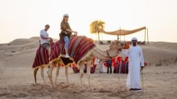 Platinum Desert Safari 4 Camel Ride - Desert Safari in Dubai