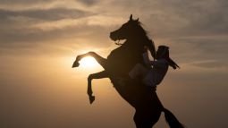 Platinum Desert Safari 13 Horse Ride - Platinum Desert Safari in Dubai