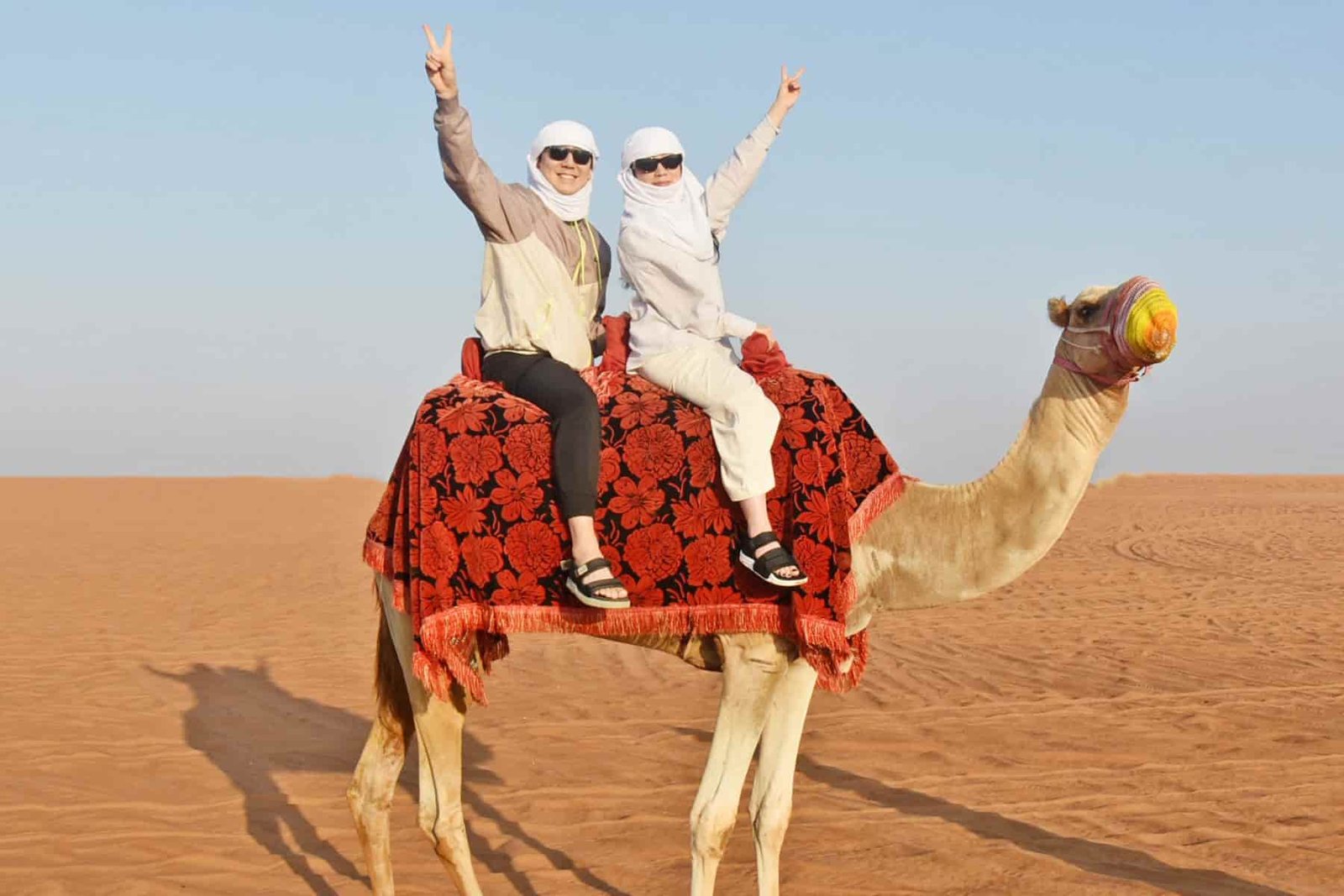 Morning Desert Safari 17 Morning Desert Safari in Dubai